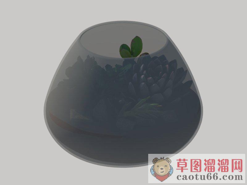 多肉植物玻璃花盆SU模型