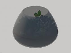 多肉植物玻璃花盆SU模型
