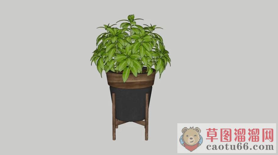 植物盆栽花盆SU模型