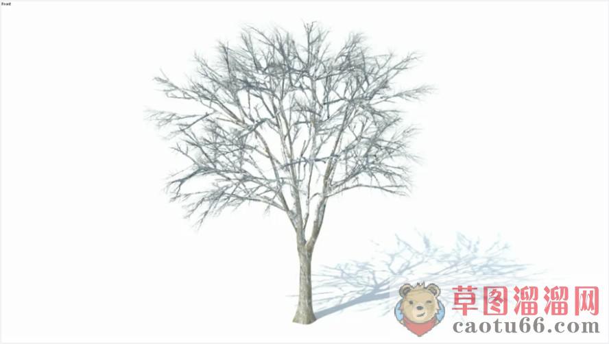 冬天枯树SU模型