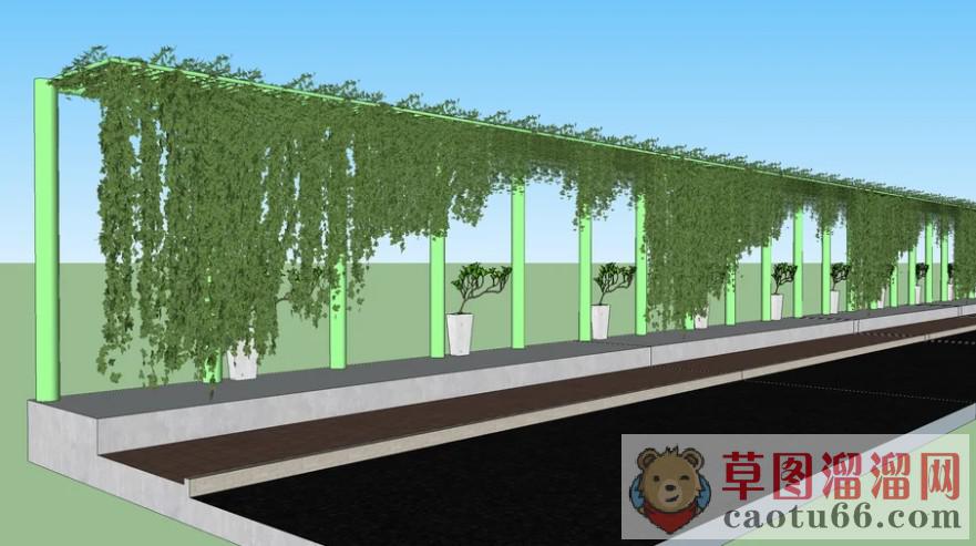 爬藤爬山虎植物SU模型
