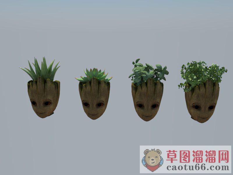 人脸花盆多肉SU模型