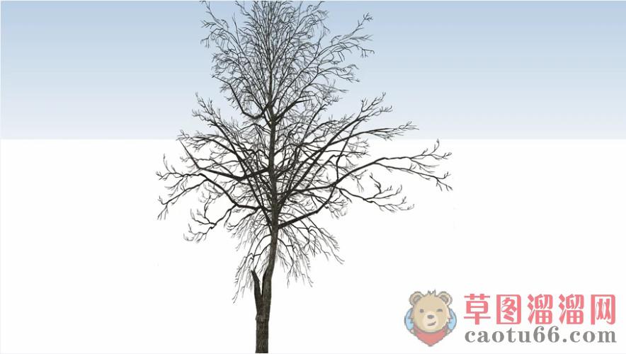 枯树树木SU模型