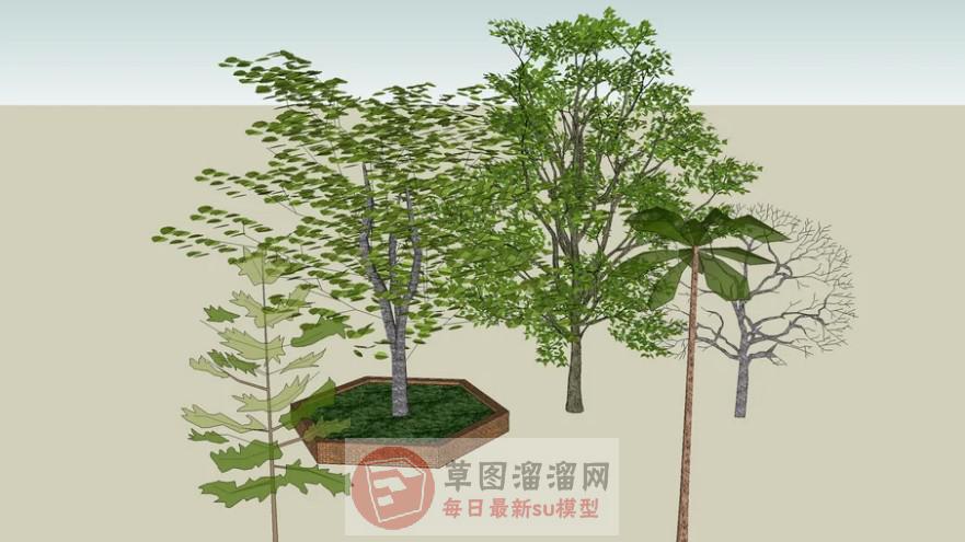 树SU模型