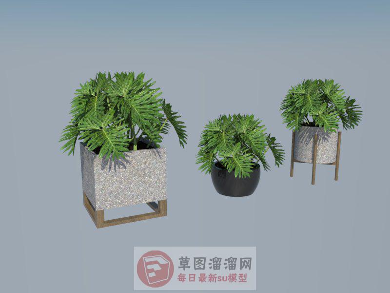 花盆盆栽植物SU模型