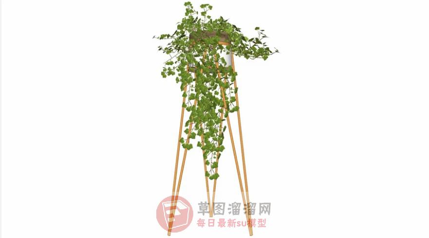 高脚花盆植物SU模型