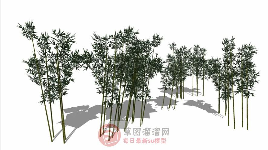 竹子竹林SU模型