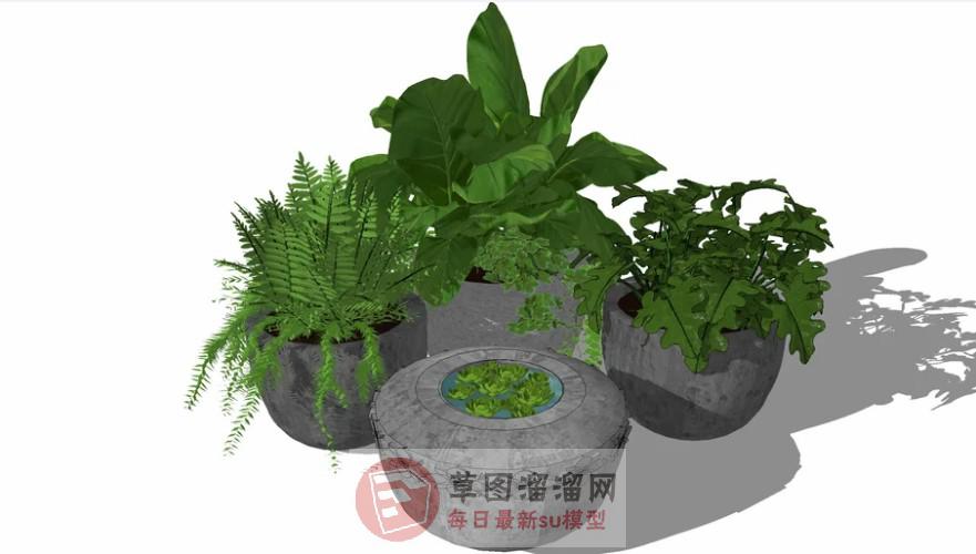 花盆盆栽SU模型