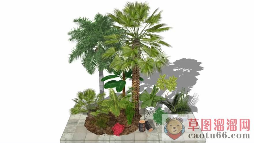 热带植物灌木SU模型