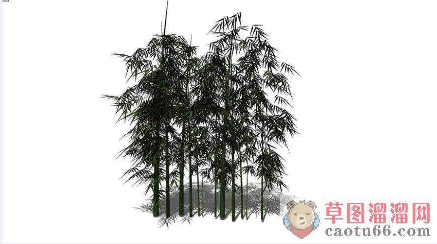 竹子竹林SU模型