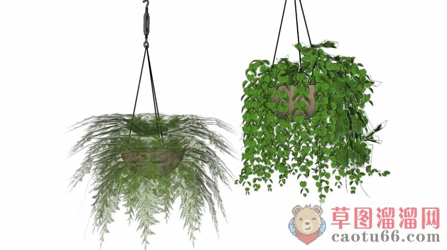吊篮花篮植物SU模型