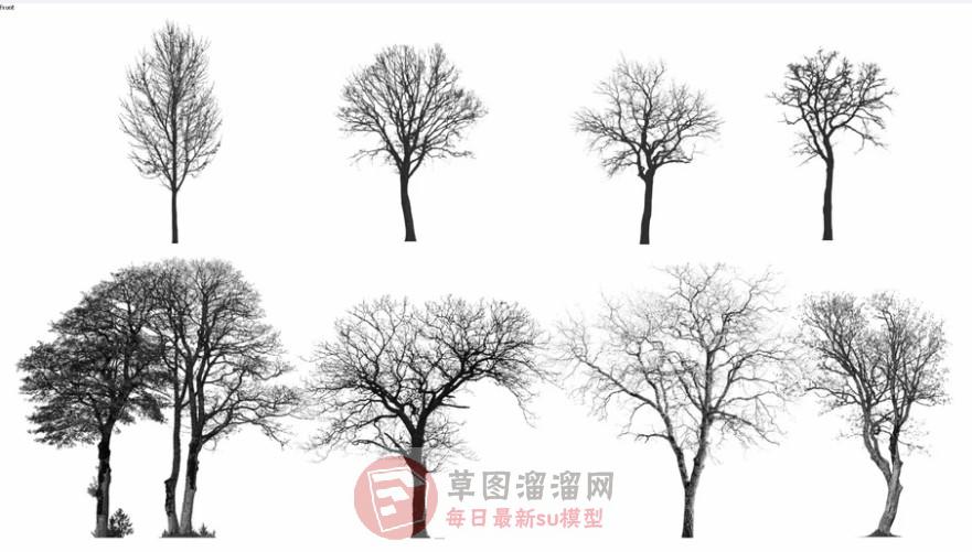 枯树落叶树SU模型