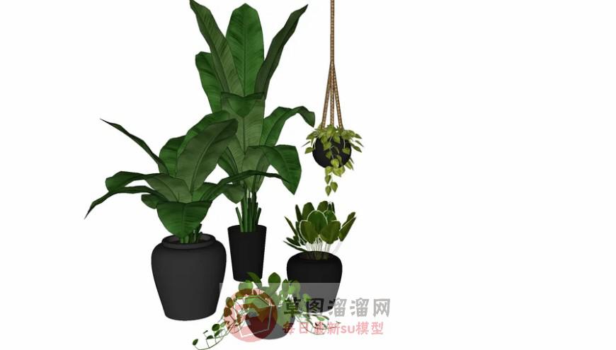 花盆盆栽吊篮SU模型