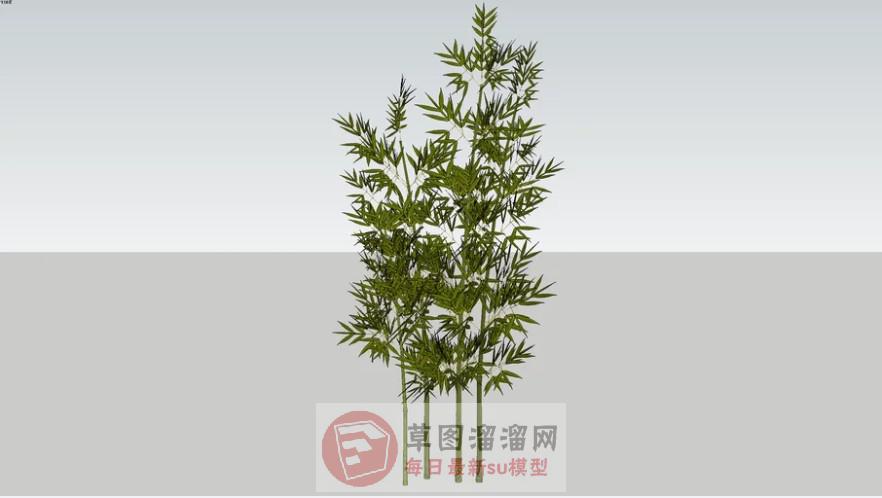 竹子SU模型