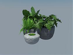 花盆植物SU模型