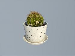 仙人球植物花盆SU模型
