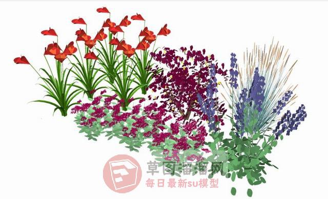 药草植物SU模型