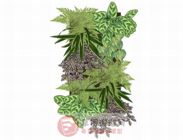 绿植墙装饰植物SU模型