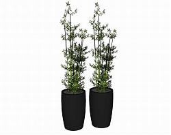 花瓶植物竹子SU模型