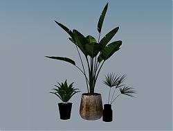 花盆植物SU模型