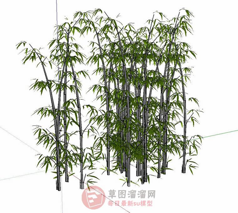 竹子竹林SU模型