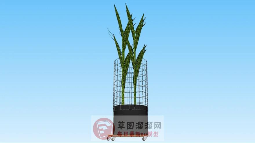 装饰花盆植物SU模型