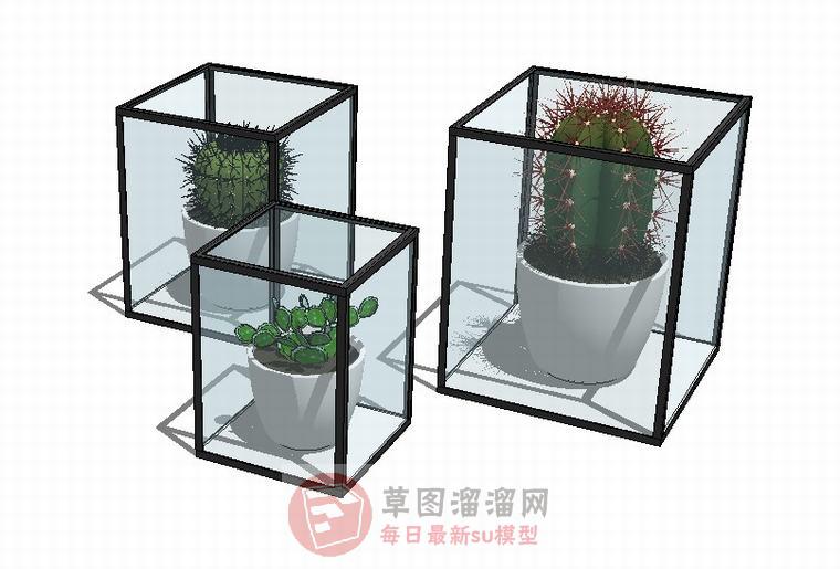 花盆装饰品仙人掌SU模型