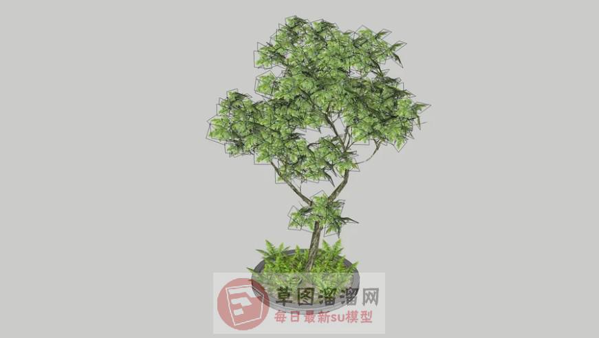 圆形树池SU模型