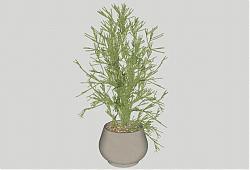 花盆盆栽SU模型