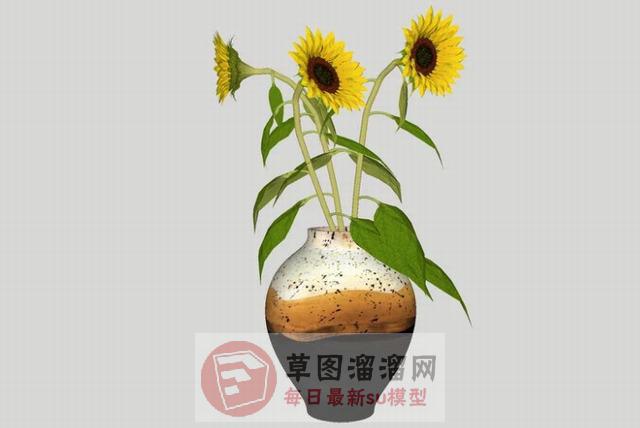 太阳花向日葵SU模型