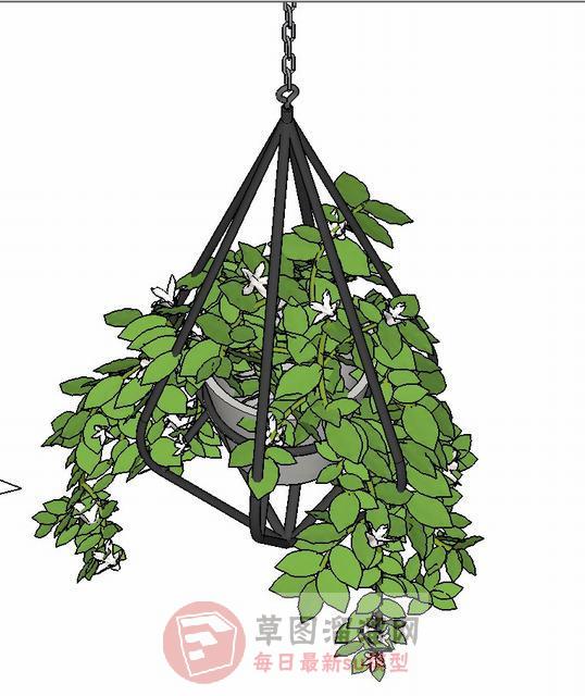 花篮吊篮植物SU模型