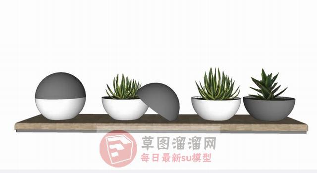 花盆装饰植物SU模型