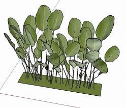 装饰植物叶子SU模型