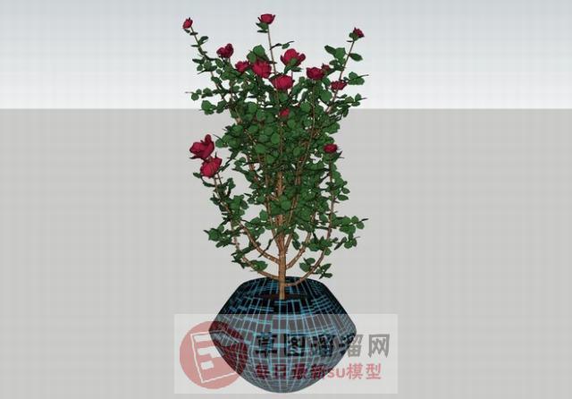 花卉盆栽SU模型