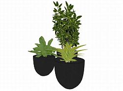 盆栽花盆植物SU模型