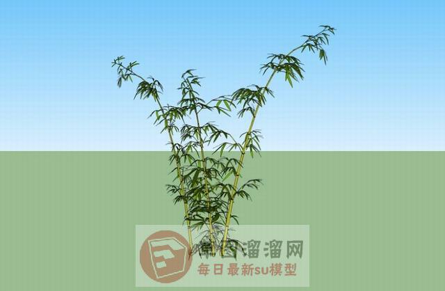 竹子竹林SU模型