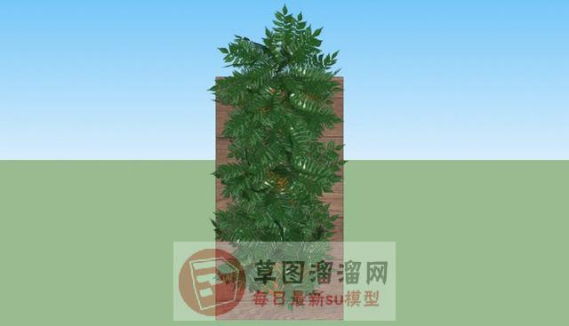 垂直绿化植物SU模型