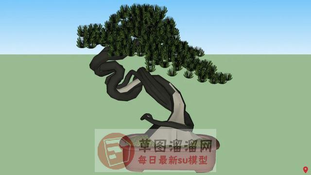 盆栽盆景植物SU模型