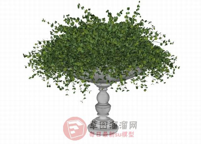 花钵植物SU模型