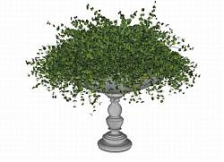 花钵植物SU模型