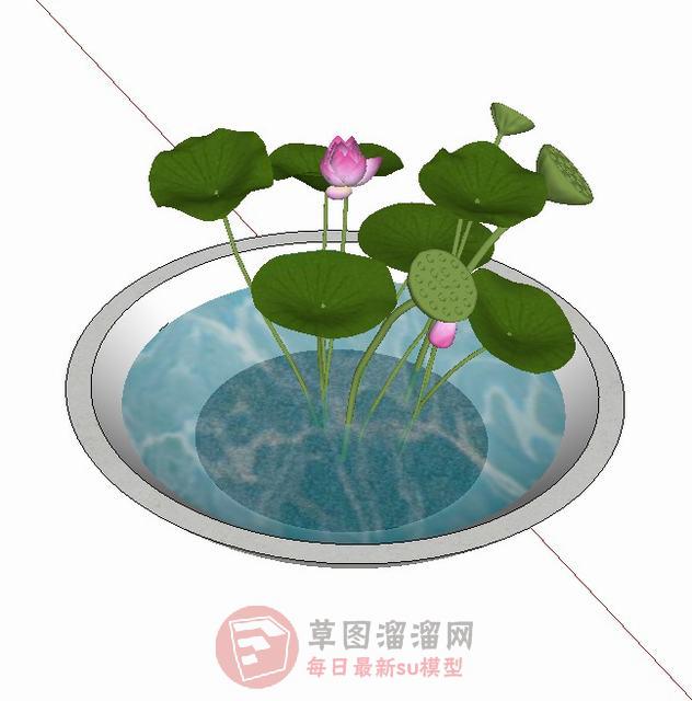 荷花池景小品SU模型