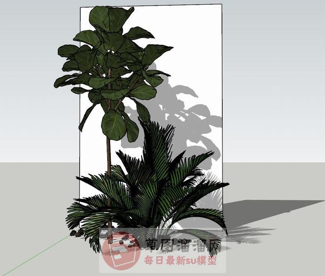 铁树绿植物SU模型