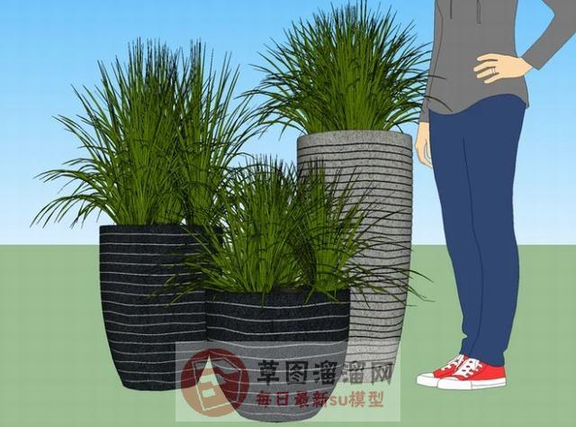 花盆植物摆件SU模型