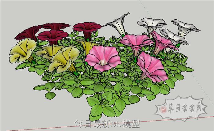 喇叭花牵牛花植物SU模型