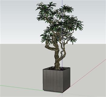 盆景盆栽植物SU模型