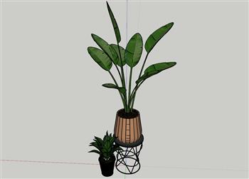 花盆植物SU模型