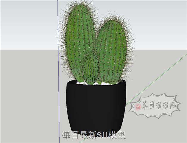 植物花盆仙人掌SU模型