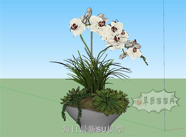 花盆植物盆栽SU模型
