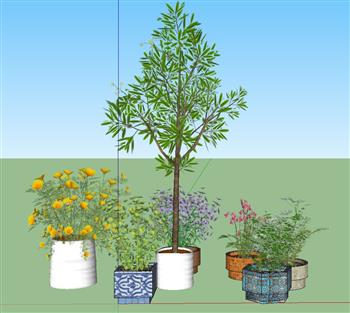花盆植物SU模型