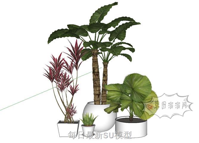 植物花盆摆件SU模型